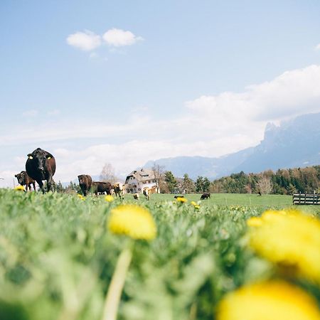 Alpin Farm Birke - Oberweidacherhof Klobenstein Exterior foto
